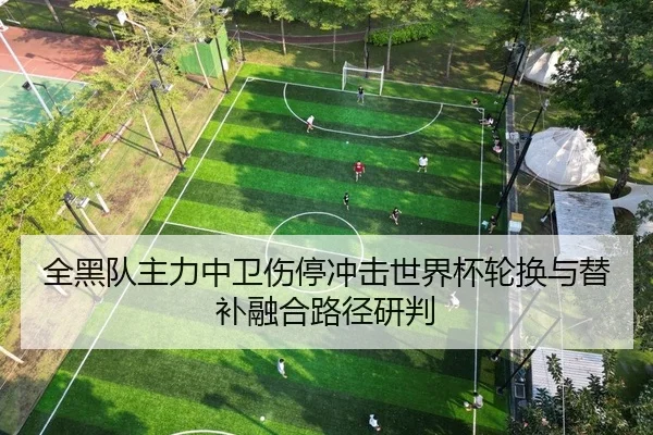 全黑队主力中卫伤停冲击世界杯轮换与替补融合路径研判